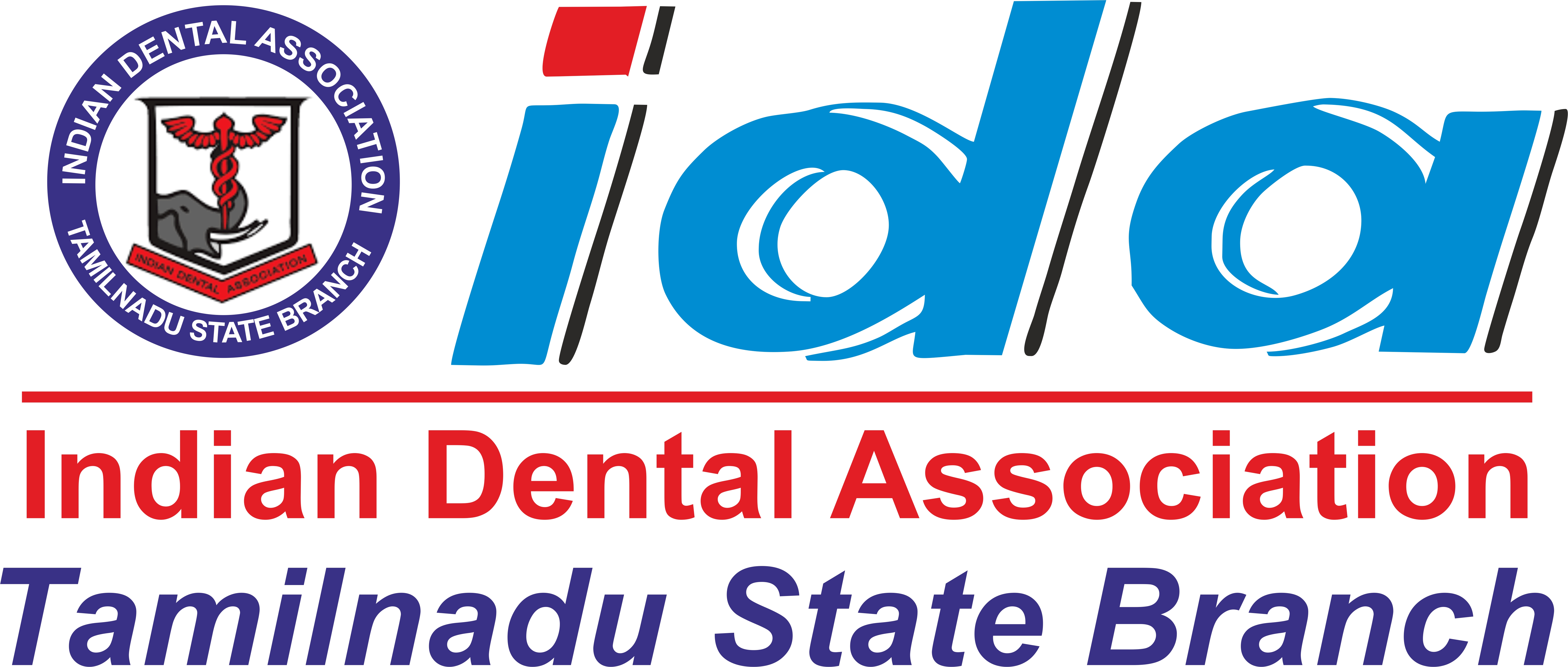 IDA Logo